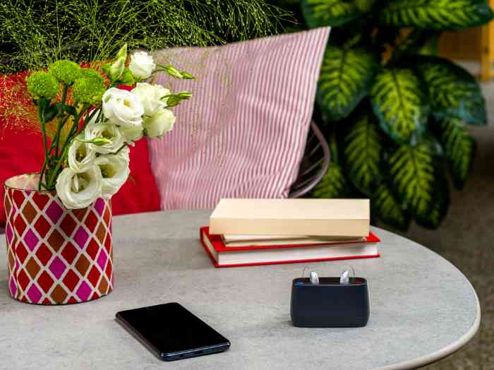 Amplifon Micro colocados dentro da caixa protetora