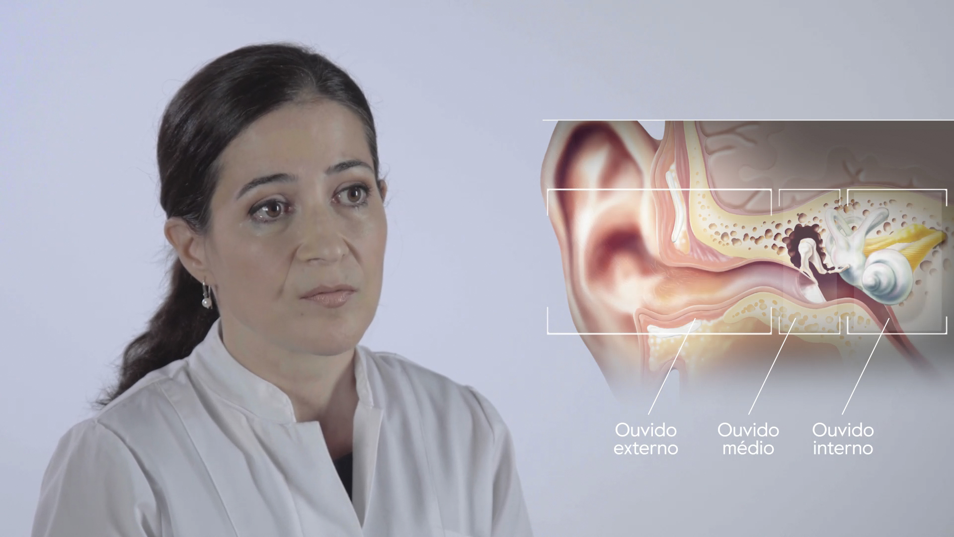 Drª Carla Gapo - tipos de perda auditiva
